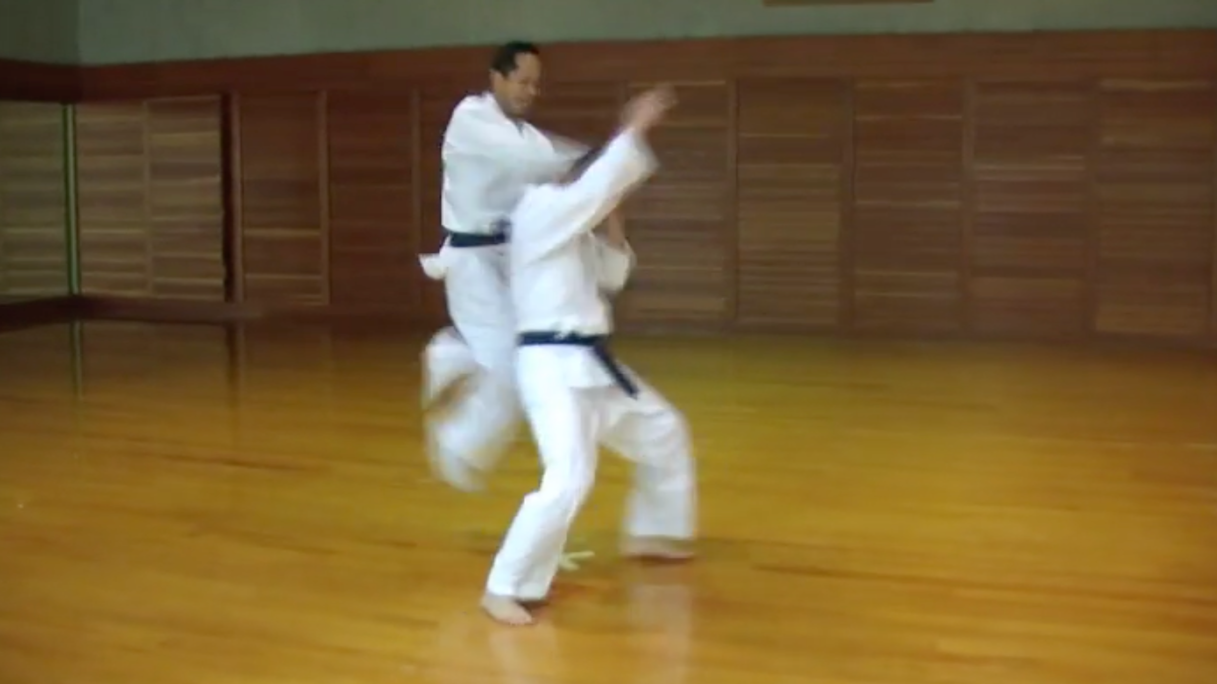Preowned Aunkai 3 DVD Set by Minoru Akuzawa - Authentic Japanese Martial Arts Training Videos for Self-Defense & Fitness Practice at Home