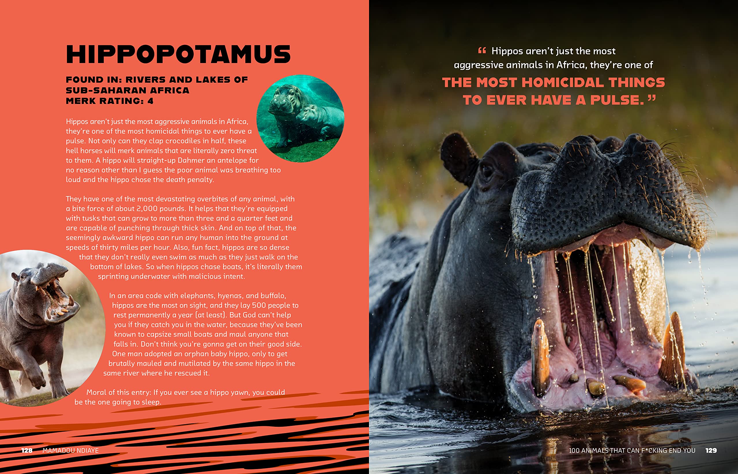 100 Deadly Animals That Can Kill You - Dangerous Wildlife Guide for Outdoor Safety & Survival Tips