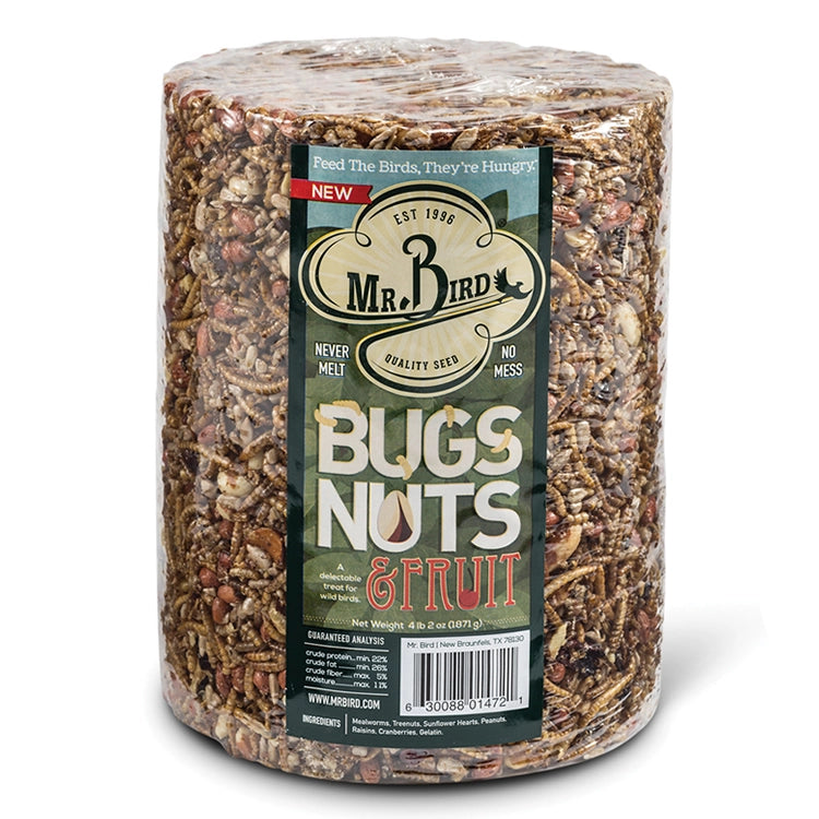 Premium Large Acrylic Insect, Nut & Fruit Display Case - Perfect for Entomology Collections, Classroom Specimens, and Nature Exhibits