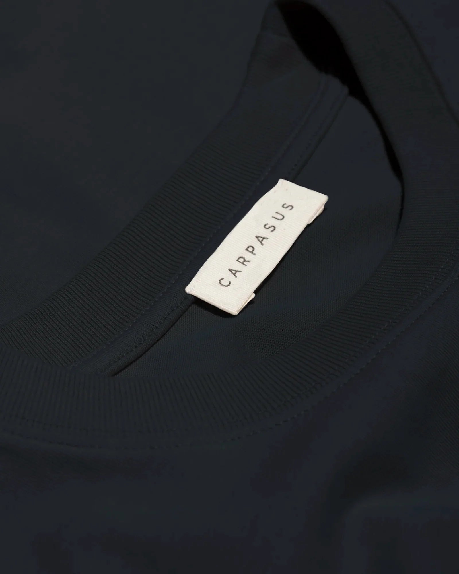 Premium Heavyweight Jersey T-Shirt for Men - Soft & Durable Biasca Black Cotton Tee - Perfect for Casual Wear, Gym & Everyday Outfits