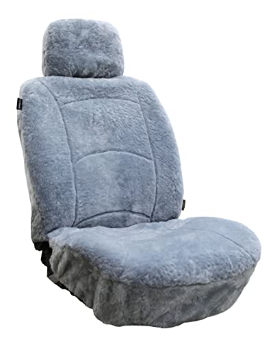 Light Gray Color