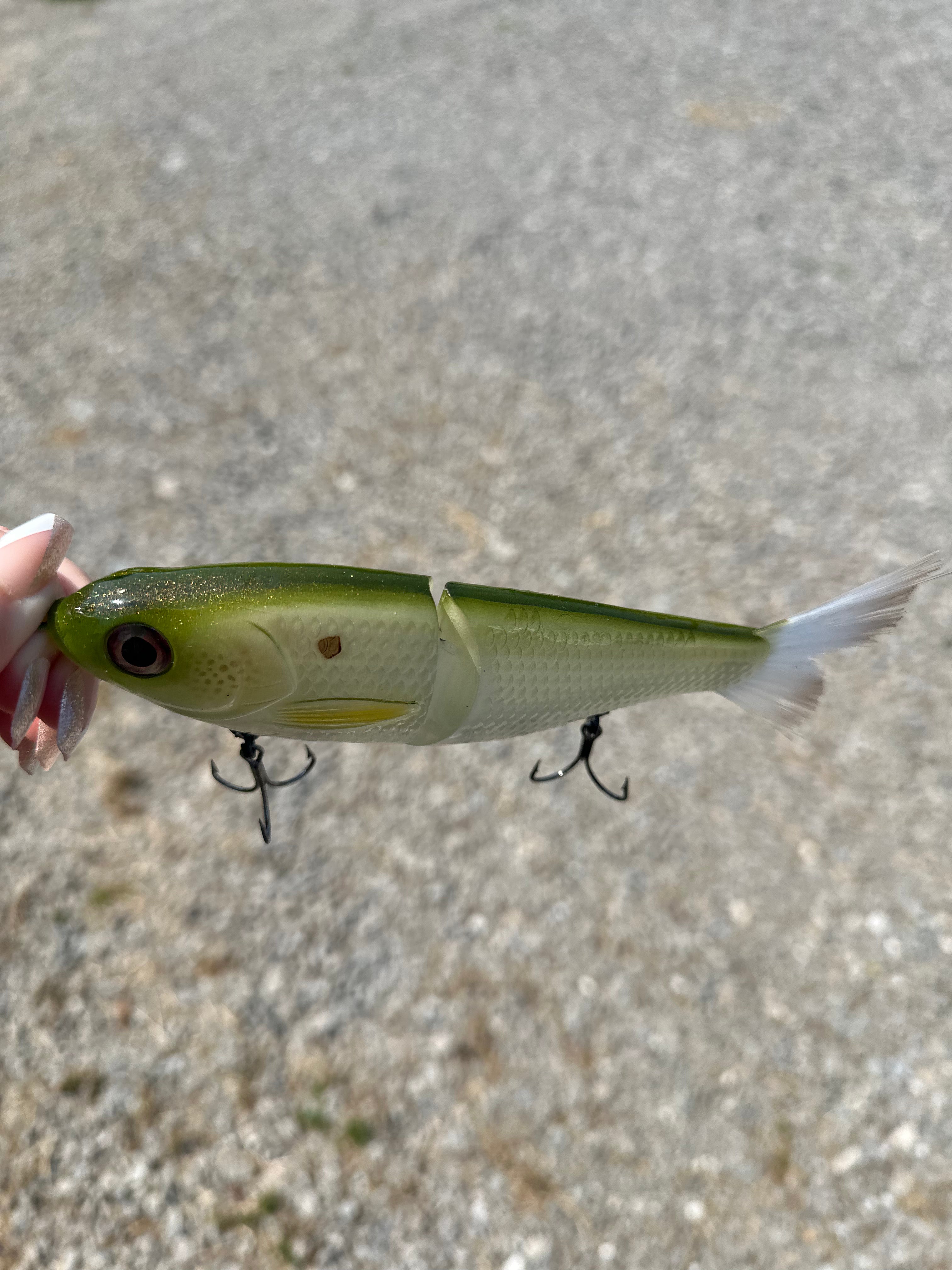 Handpainted Glide Bait Fishing Lure - Green Gizzard Shad Pattern | Topwater Bass Fishing & Saltwater Game Fish Lure for Professional Anglers