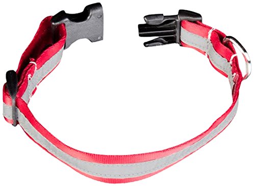 Petflect Reflective AdventurePlay Collar for Dogs - High-Visibility Safety Collar with Adjustable Fit for Night Walks, Hiking & Outdoor Adventures