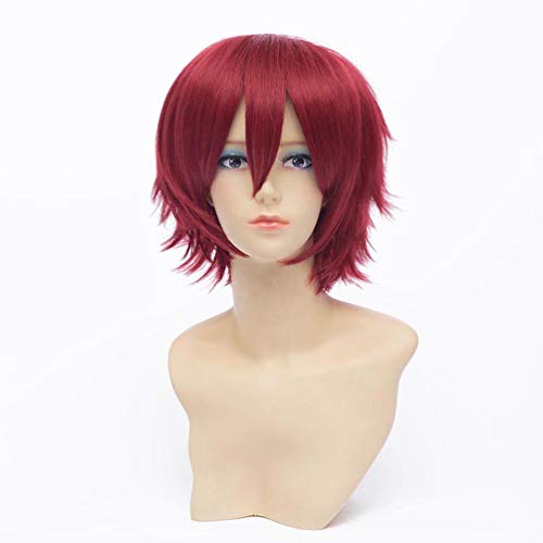 HongHu Short Wavy Cosplay Anime Wig - Heat Resistant Synthetic Fiber Full Wig in Wine Red for Halloween, Cosplay Events & Anime Conventions