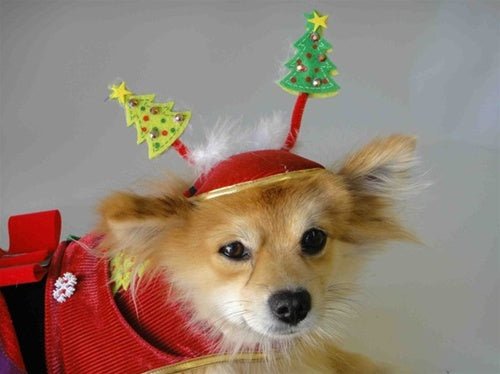 Festive Christmas Tree Hat for Cats & Dogs - Cute Holiday Pet Costume for Xmas Photos & Parties