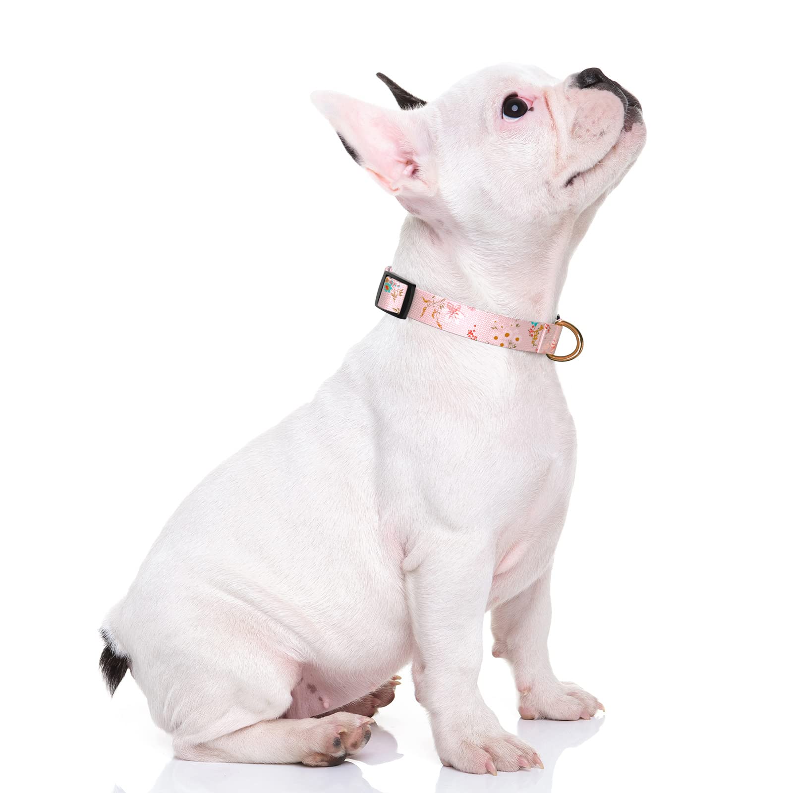 Rnivvi Adjustable Pink Dog Collar for Small Dogs - Heavy Duty Classic Puppy Collar with Quick Release Buckle for Walking & Running (S Size 3/4
