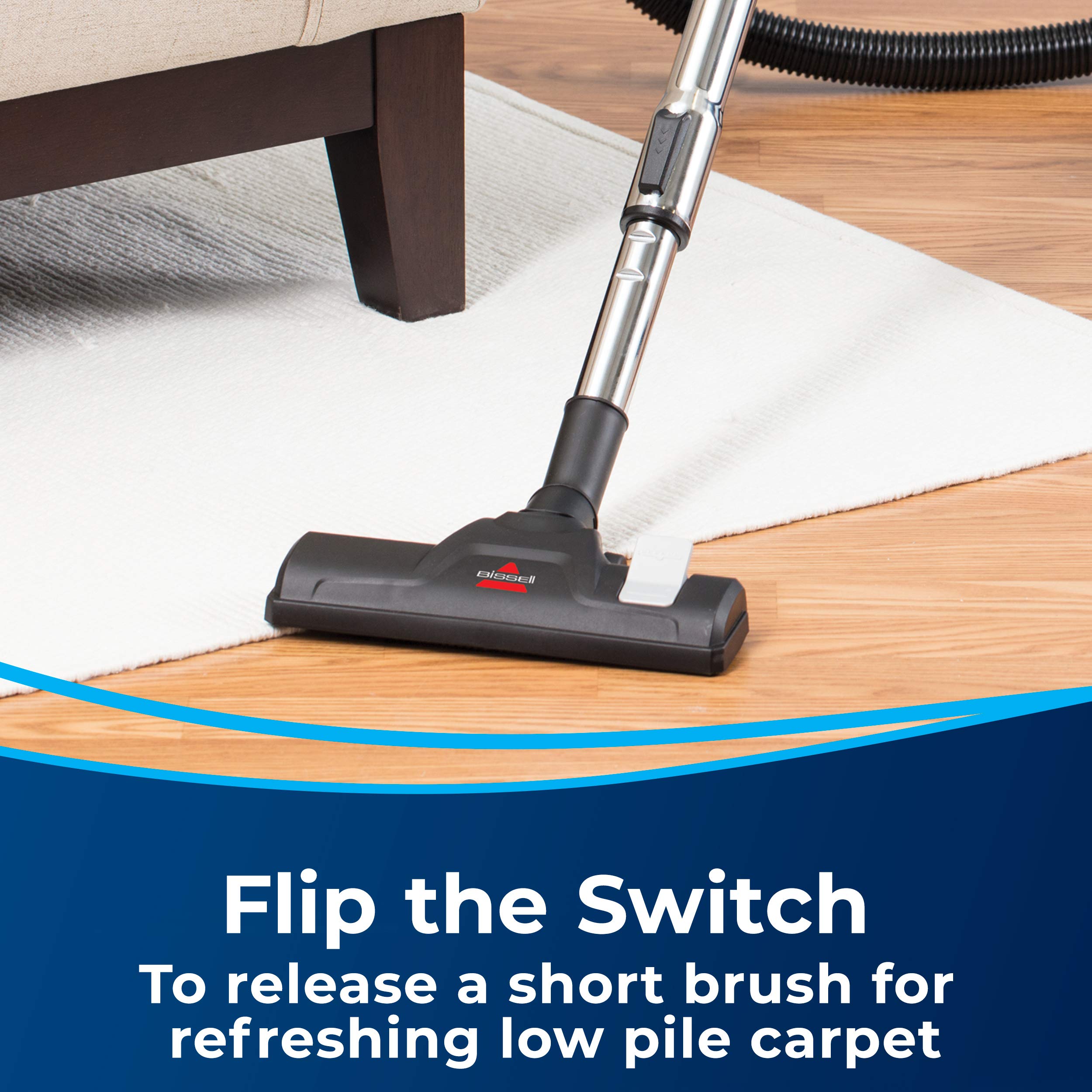 Bissell Zing 21565 Bagless Canister Vacuum Cleaner - Lightweight & Compact for Hard Floors & Low-Pile Carpets - Powerful Straight Suction - Ideal for Apartments, Small Homes & Quick Cleanups