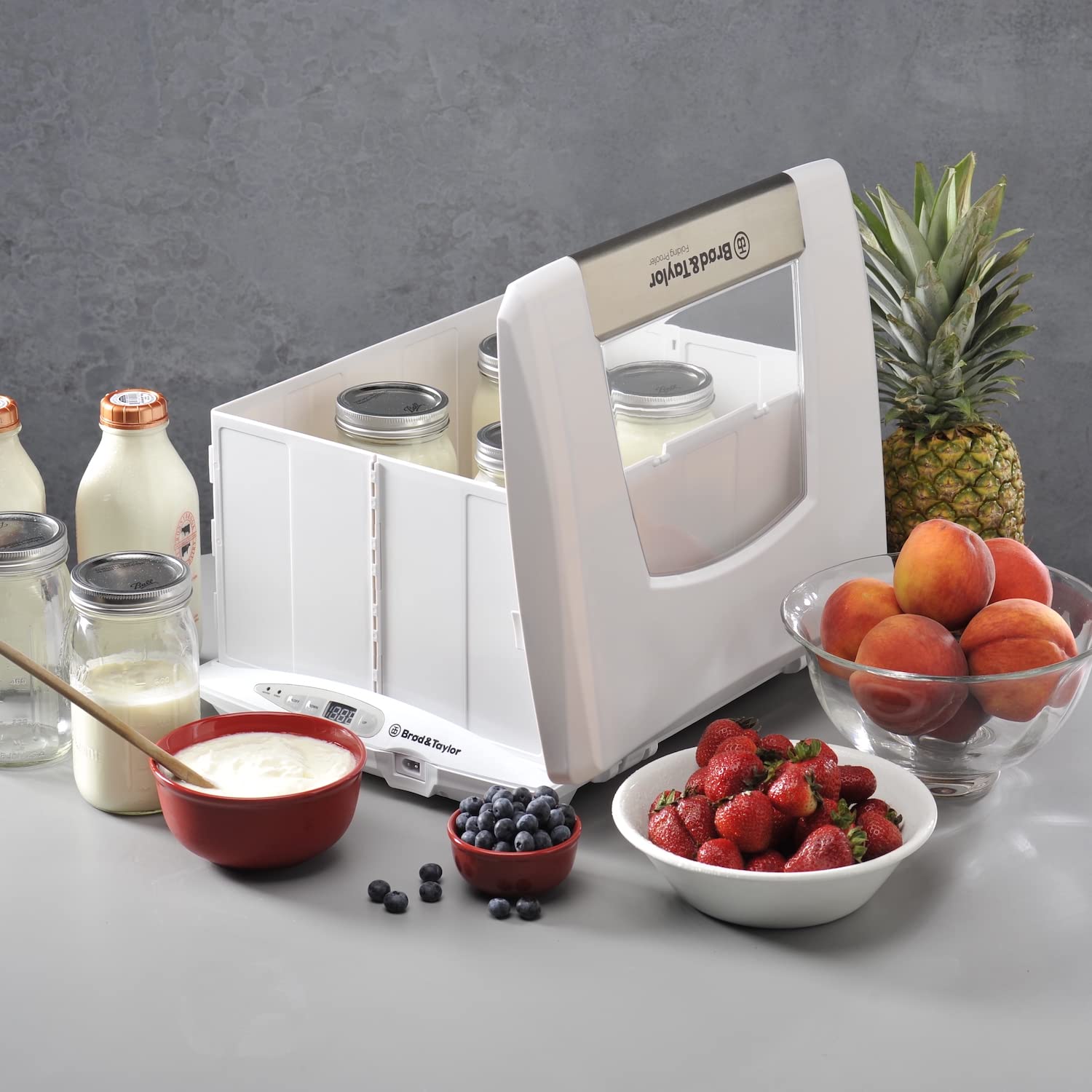 Brod & Taylor Folding Proofer & Slow Cooker - Dough Proofing Box & Food Warmer for Home Bakers & Chefs - Perfect for Bread Making, Yogurt Fermentation & Slow Cooking
