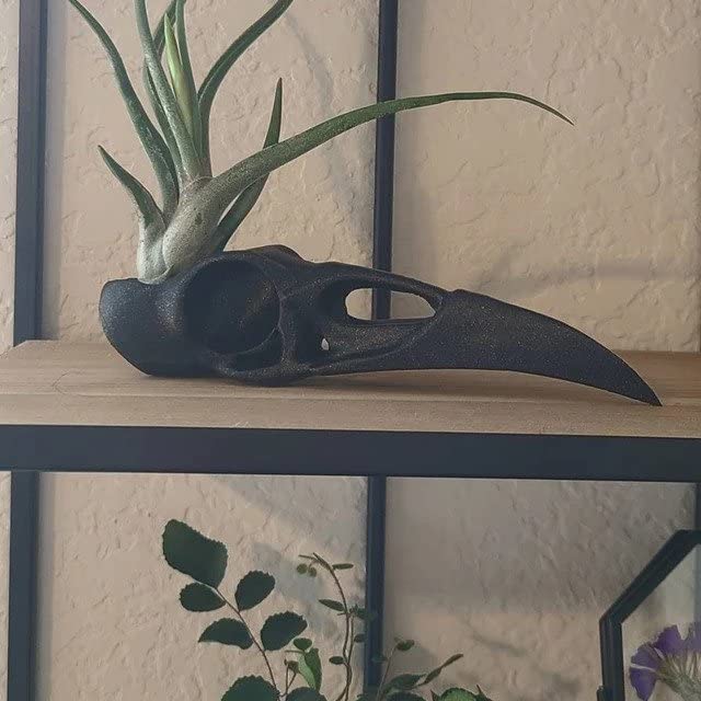 Gothic Raven Skull Air Plant Holder - Handmade Bird Skull Planter for Home Decor - Unique Crow Art Sculpture & Halloween Spooky Plant Pot - Perfect for Gothic Decor, Witchy Aesthetics & Indoor Succulent Displays