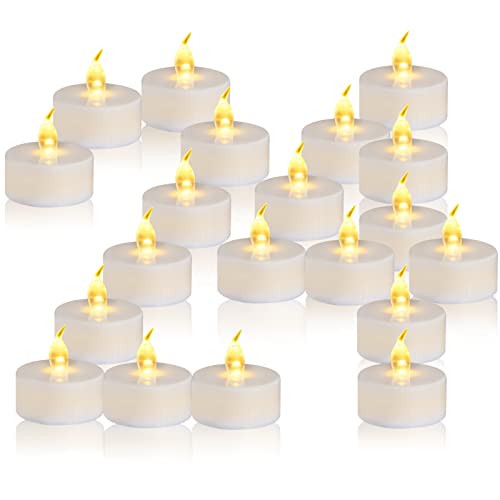 24 Pack Warm Yellow