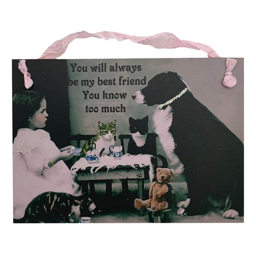 Vintage Wooden Hanging Sign with Best Friends Quote - Rustic Home Decor for Bedroom, Living Room & Gift Ideas