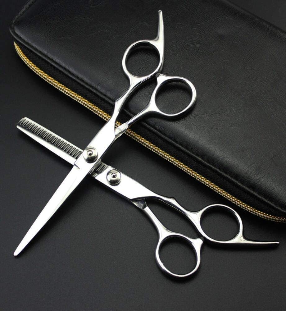 6 Inch Professional Hairdressing Scissors Set - Sharp Stainless Steel Barber Shears for Precision Hair Cutting - Silver (Great for Salon, Home Haircuts & Styling)