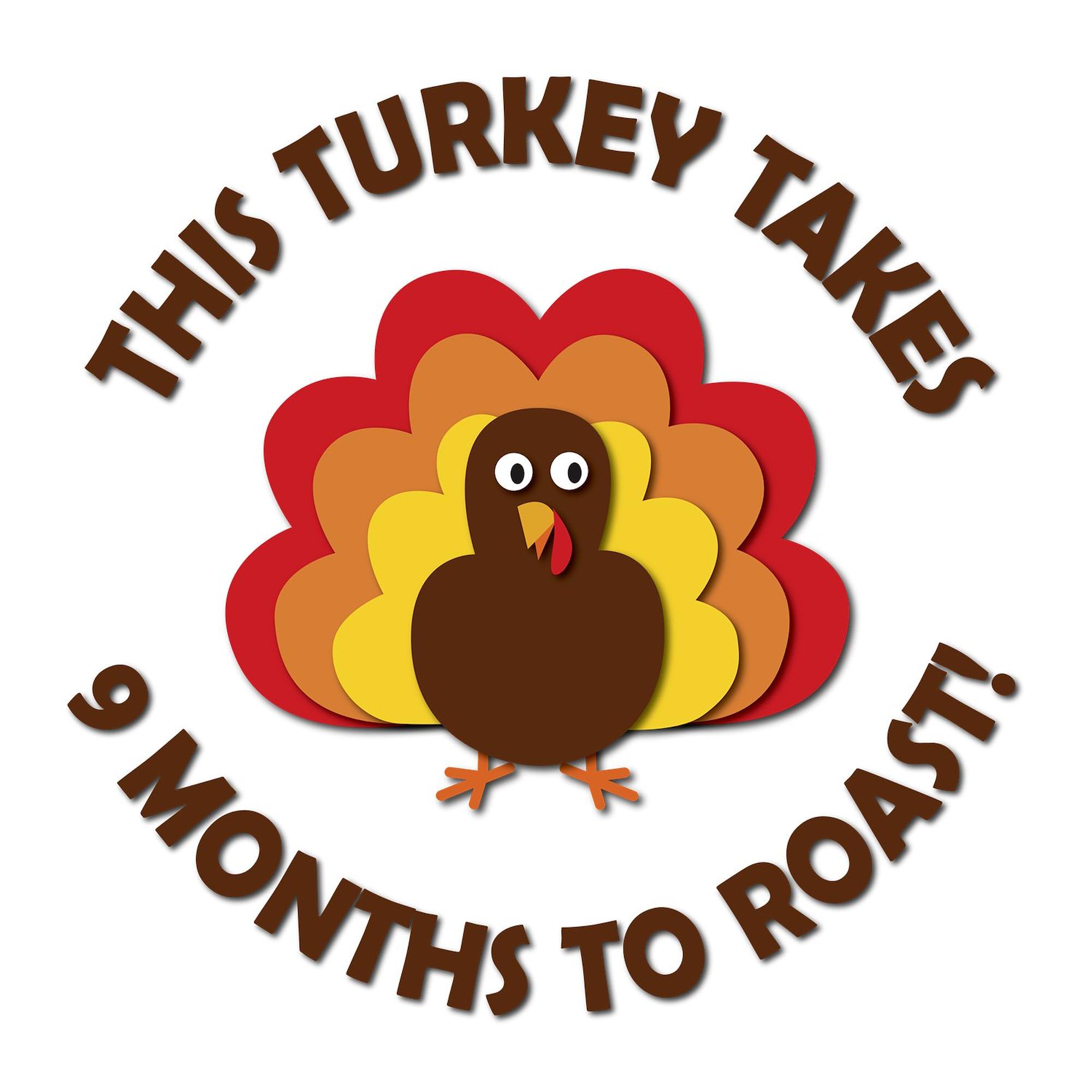 Funny Maternity T-Shirt for Women - 'This Turkey Takes 9 Months to Roast!' Pregnancy Humor Tee - Comfortable Ruched Side Design for Expecting Moms - Perfect for Baby Showers, Pregnancy Announcements & Maternity Photos
