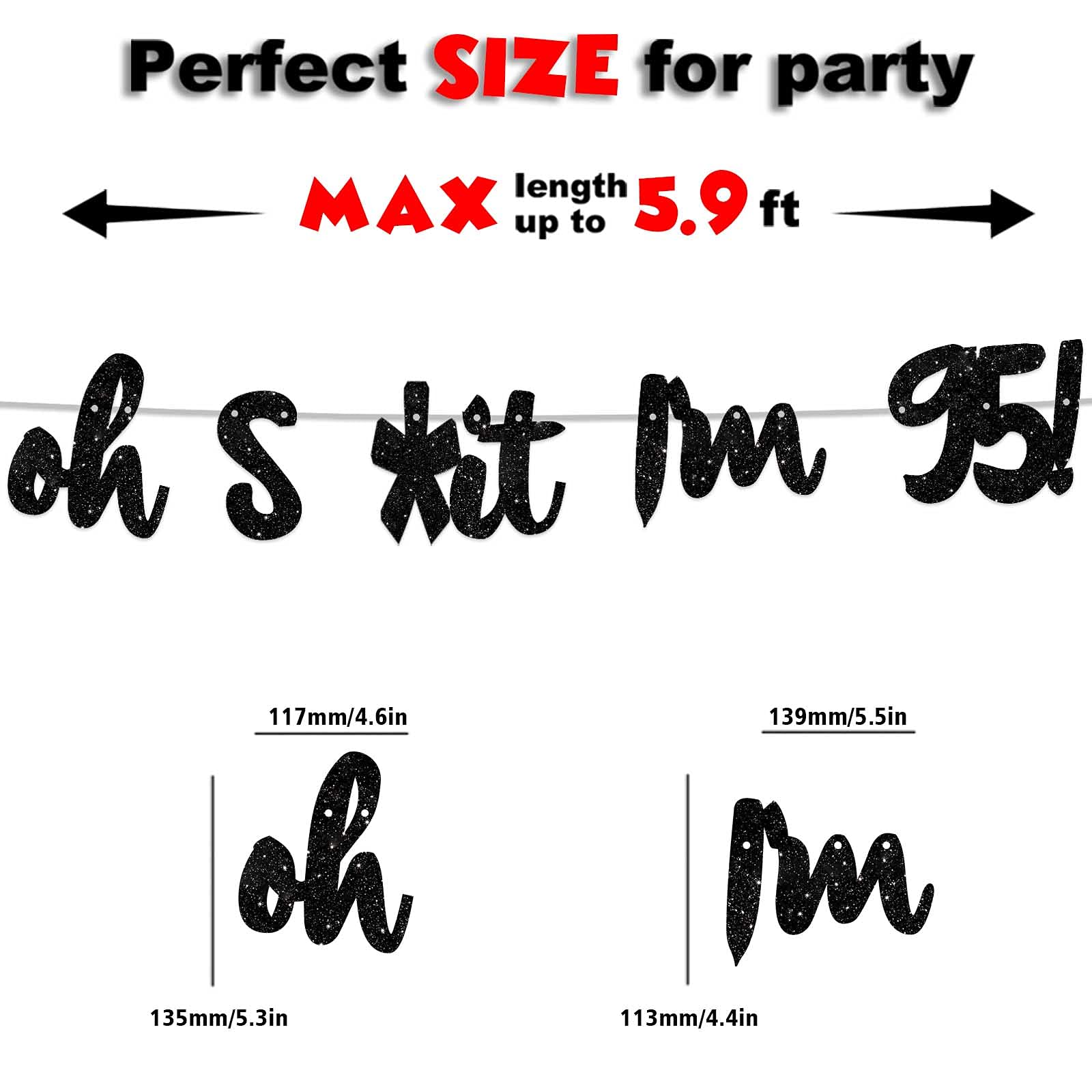 Happy 95th Birthday Banner - Glitter Black 'Oh I'm 95!' Backdrop Decor for Men & Women - Photo Studio Props, Party Flags & Supplies - Perfect for 95th Birthday Celebrations, Milestone Parties & Photo Booths