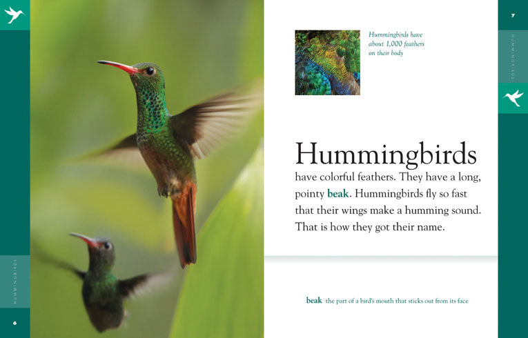 Amazing Animals (2014): Hummingbirds - Nature Documentary Film | Wildlife, Birds, Nature Exploration | Perfect for Bird Lovers & Educational Screenings