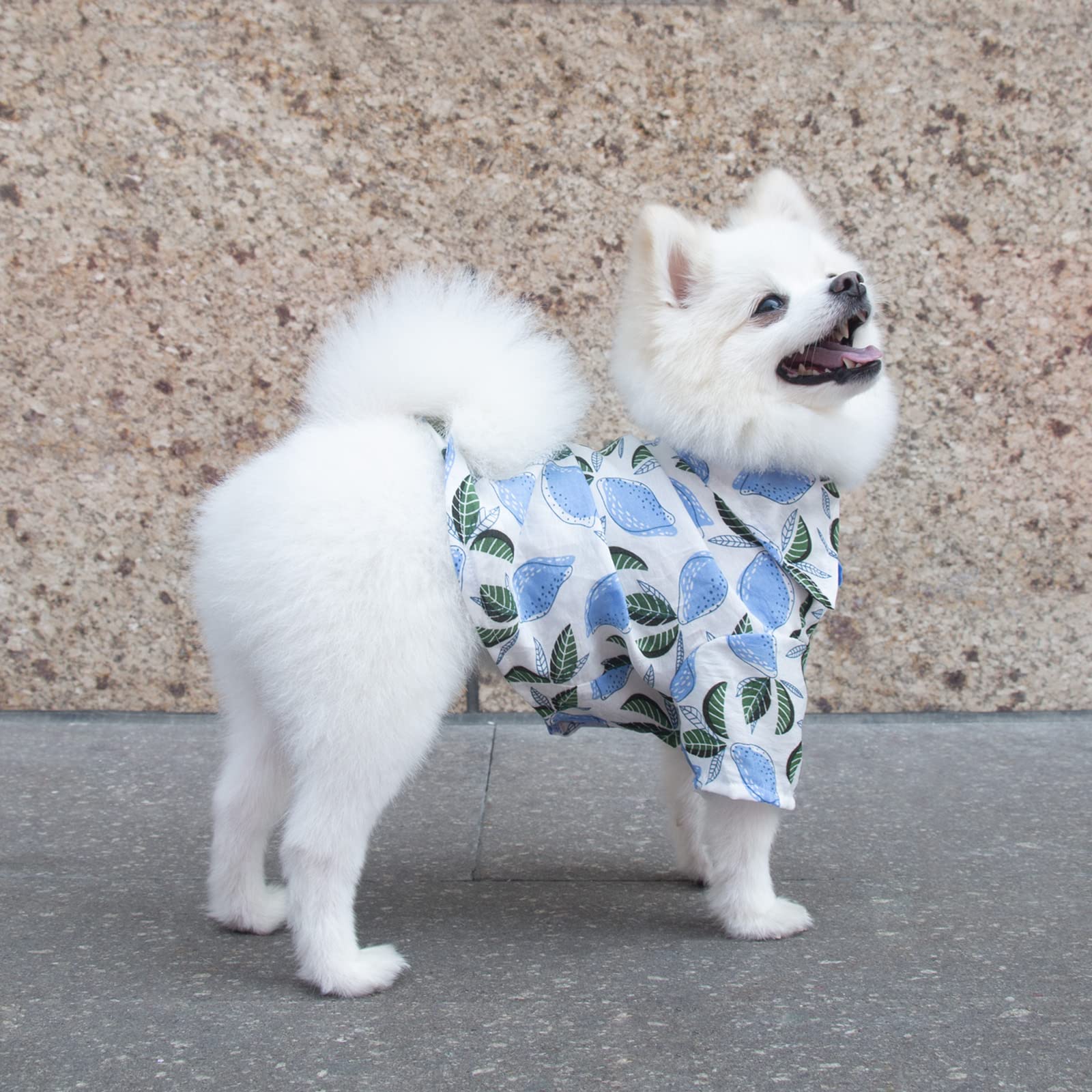 Hawaiian Shirts for Teacup Dogs & Small Pets - Summer T-Shirts for Puppies & Cats | Cute Printed Chihuahua Clothes & Pet Apparel for Dog Boys - Perfect for Beach Outings, Summer Parties & Pet Photoshoots