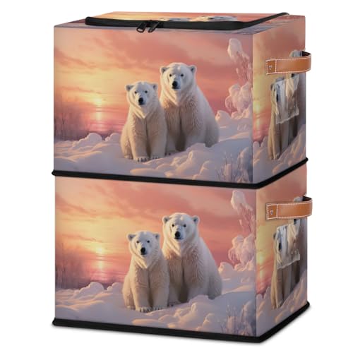 Lovely Bears Animals