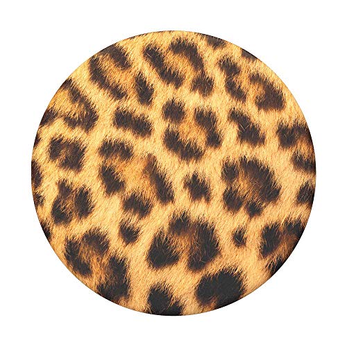 Leopard of the Night