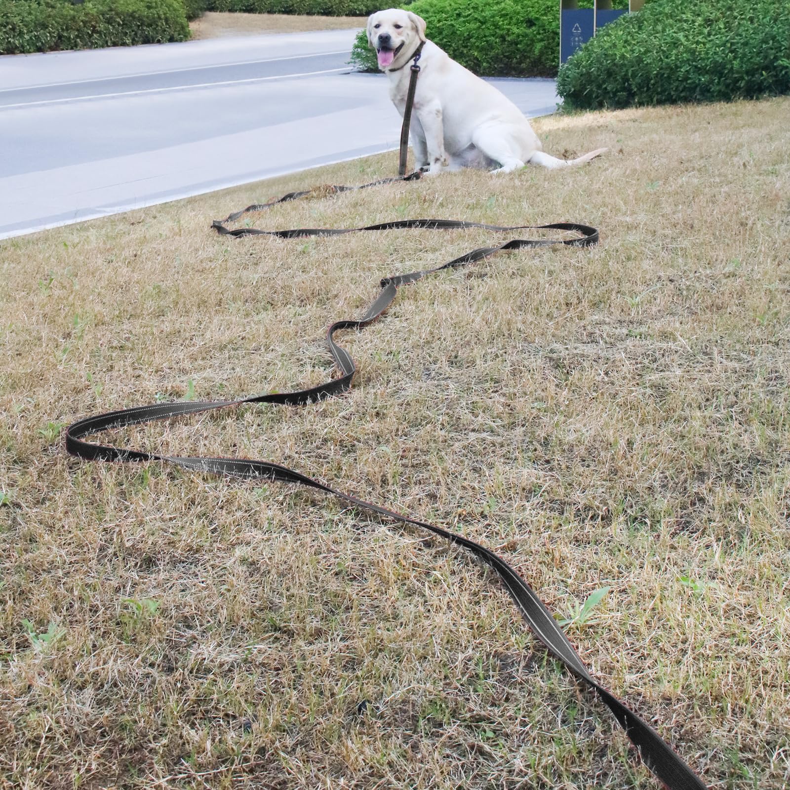 15FT Heavy Duty Reflective Dog Leash with 2 Soft Padded Handles - Durable Training & Walking Lead for Large, Medium & Small Dogs - Perfect for Night Walks, Jogging & Outdoor Adventures