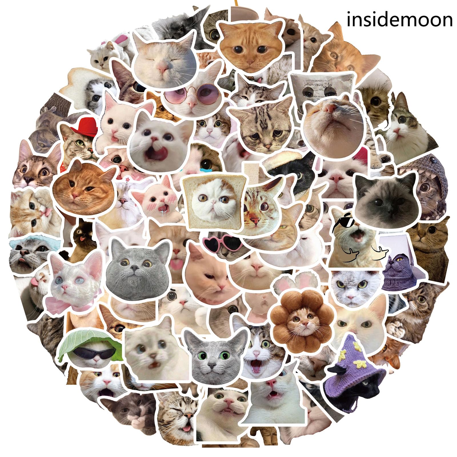 100 Pcs Funny Cat Stickers - Cute Cat Meme Vinyl Decals for Water Bottles, Laptops, Luggage, Skateboards & Bicycles | Waterproof Durable Stickers for Teens & Adults | Perfect for DIY Crafts, School Supplies & Gift Decorations