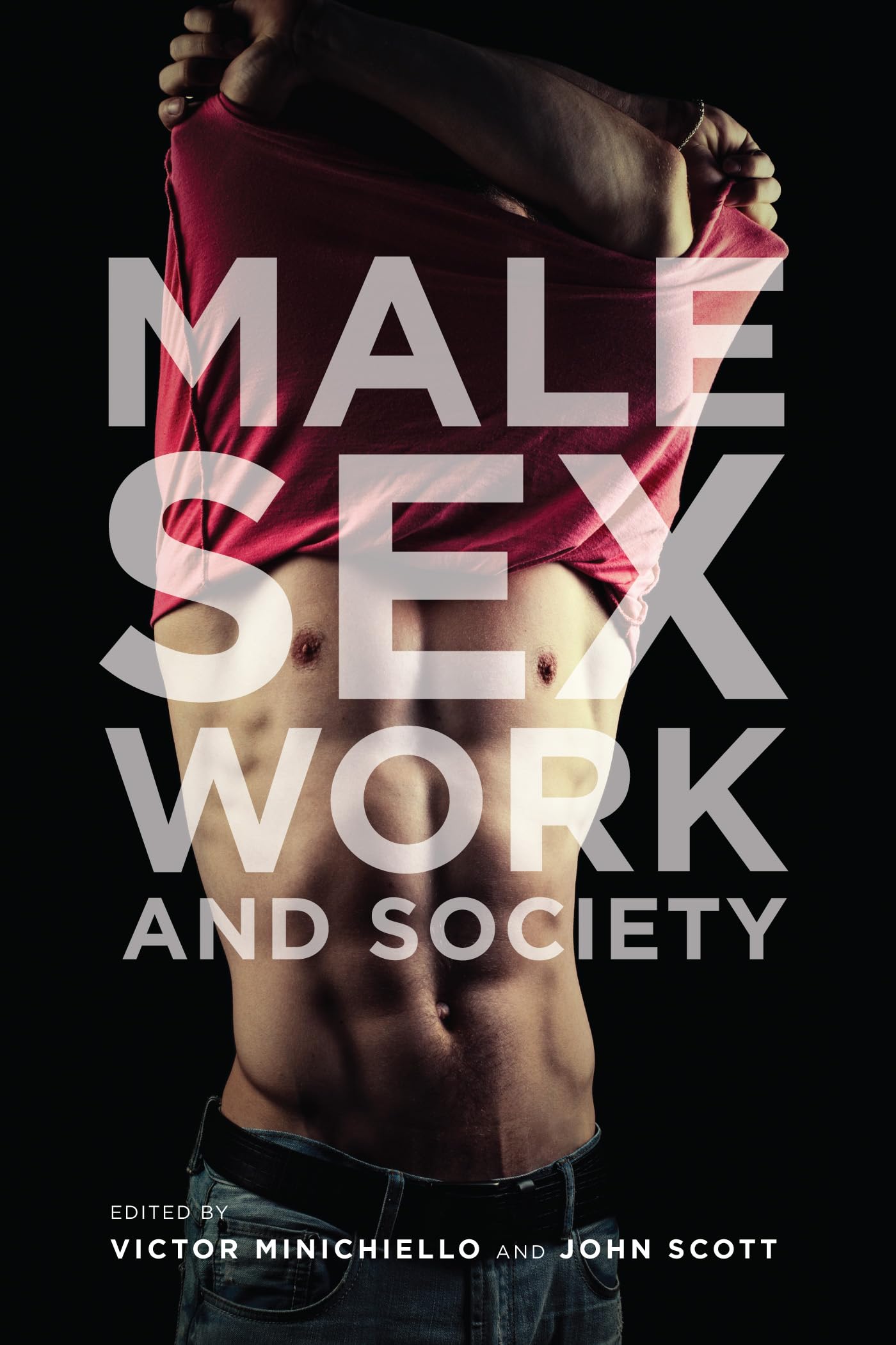 Male Sex Work and Society - Understanding the Role, Challenges & Social Impact | Workplace, Legal & Cultural Perspectives