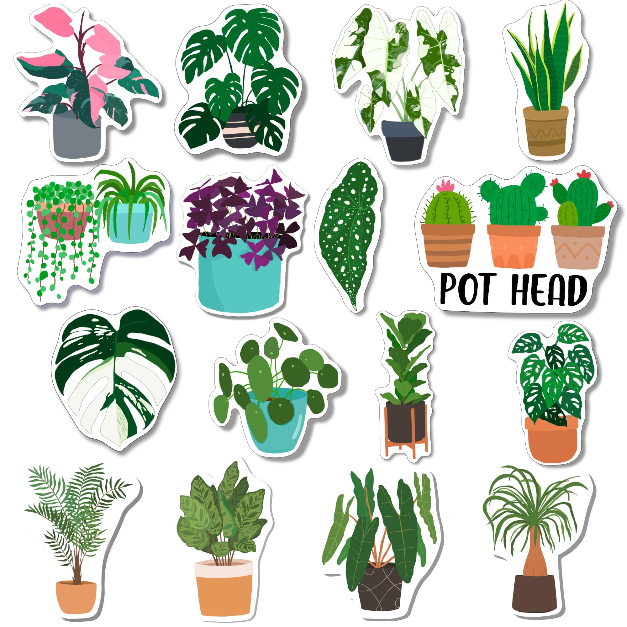 AKUJI 16 Pack Mini Potted Plant Magnets for Refrigerator - Monstera & Cactus Fridge Magnets Set, Kitchen Decor & Office Locker Accessories | Cute Magnetic Gifts for Plant Lovers, Home & Workspace Decor
