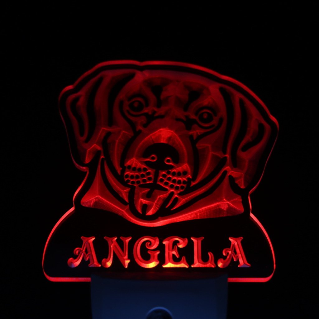ADVPRO ws1073-tm Personalized Labrador Retriever Night Light with Name - LED Dog Sign with Day/Night Sensor | Perfect for Pet Lovers' Bedroom, Nursery & Gift Giving