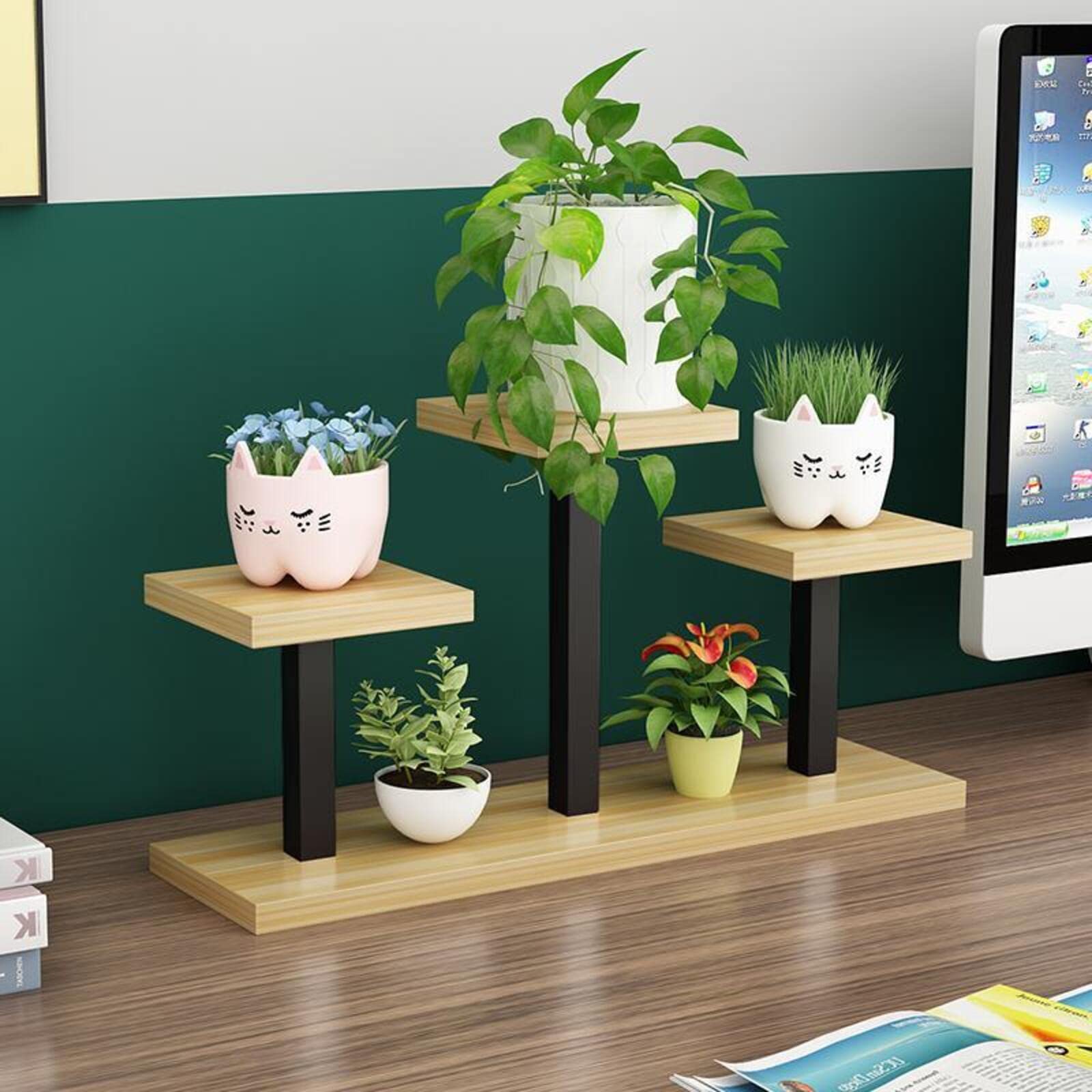 Colorful Wood Mini Tabletop Succulent Plant Stand - Sturdy Decorative Rack for Succulents, Cacti, Herbs & Small Plants (H24xL18xW45cm) - Perfect for Home, Office, Kitchen & Windowsill Decor
