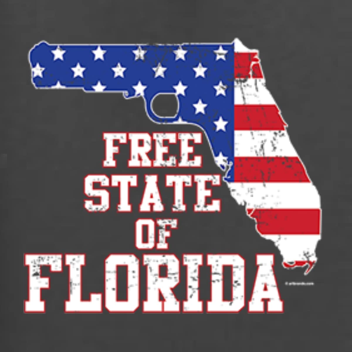 Wild Bobby American Flag & Florida Map Graphic T-Shirt - Patriotic Men's Tee for 4th of July, Veterans Day & Outdoor Activities