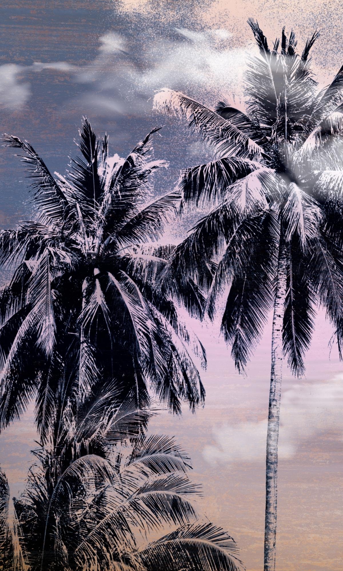Blue Turquoise Sky and Palms Mural Wallpaper M1143 Sample - Tropical Beach Theme Peel and Stick Wallpaper for Bedroom, Living Room, Nursery Decor