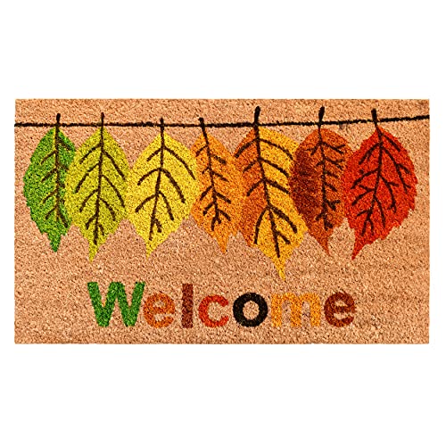 Fall Colors