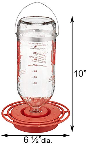 Premium Glass Hummingbird Feeders - 32oz Capacity (12 Pack) - Attract Hummingbirds to Your Garden, Patio or Backyard - Ideal for Outdoor Decoration & Bird Watching