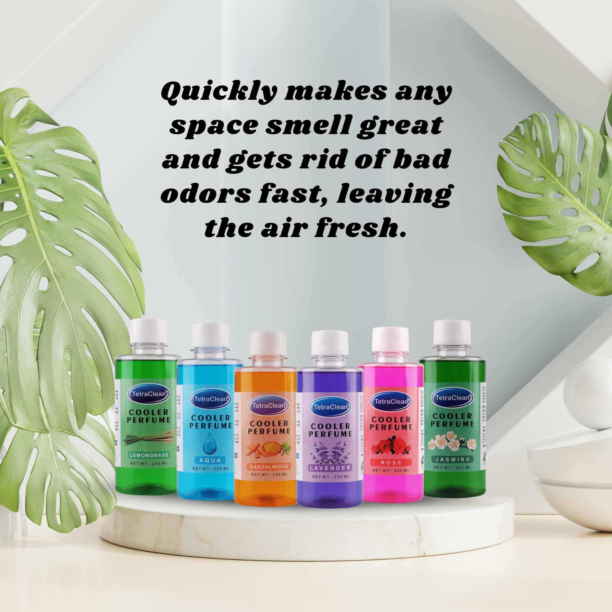 Tetraclean Cooler Perfume & Aroma Diffuser Oil - Long Lasting Jasmine Fragrance for Coolers | Multipurpose Scented Oil for Home, Office, and Commercial Use | Perfect for Air Freshening, Relaxation, and Creating a Pleasant Atmosphere