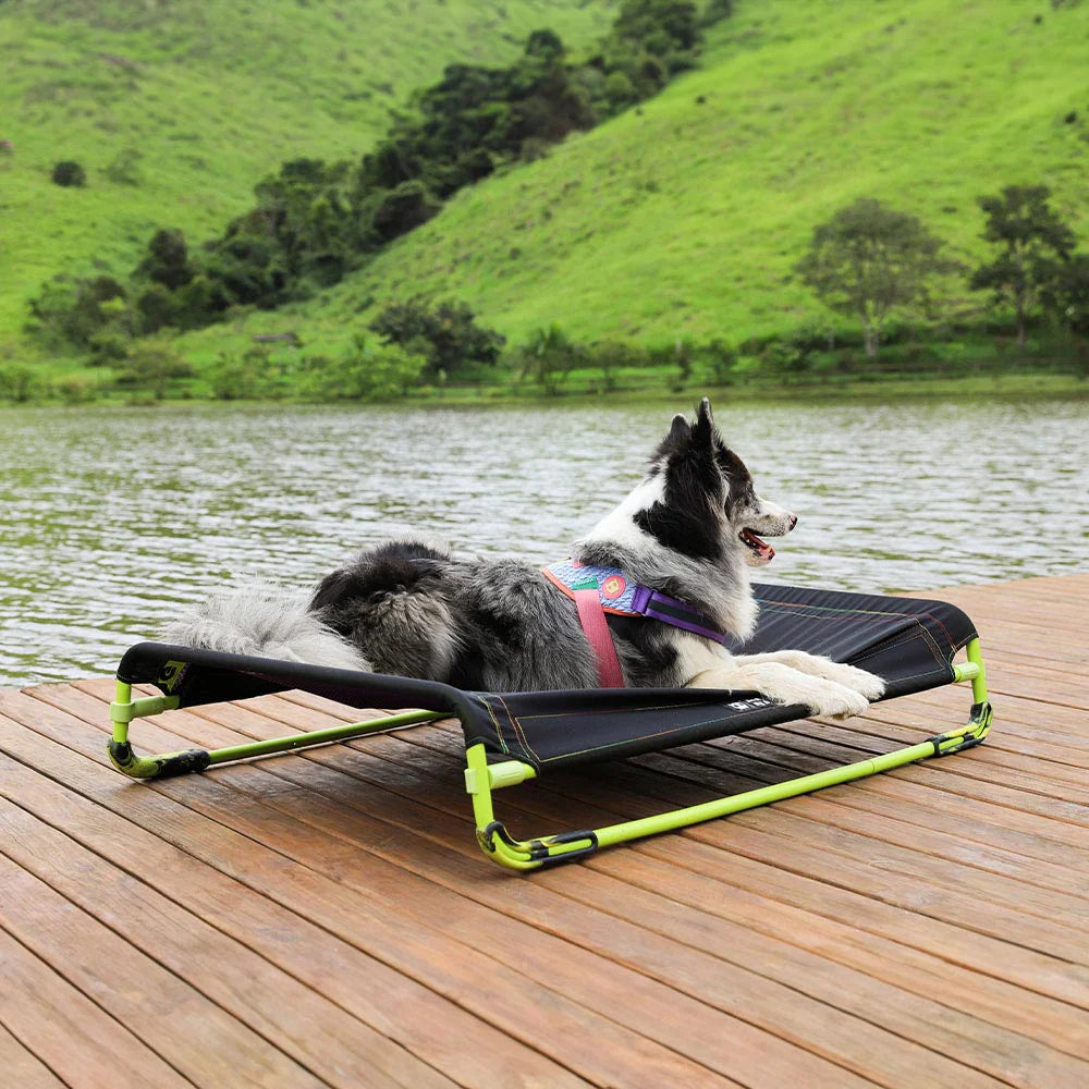 Elevated Dog Bed Air.Bed for Dogs - Black | Zee.Dog - Perfect for Indoor & Outdoor Use, Travel, and Camping with Your Pet