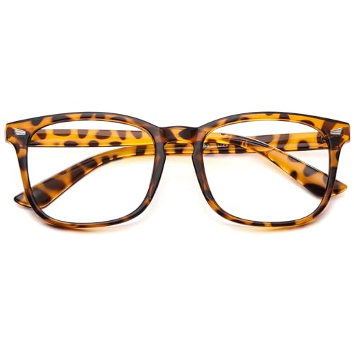 A05-leopard