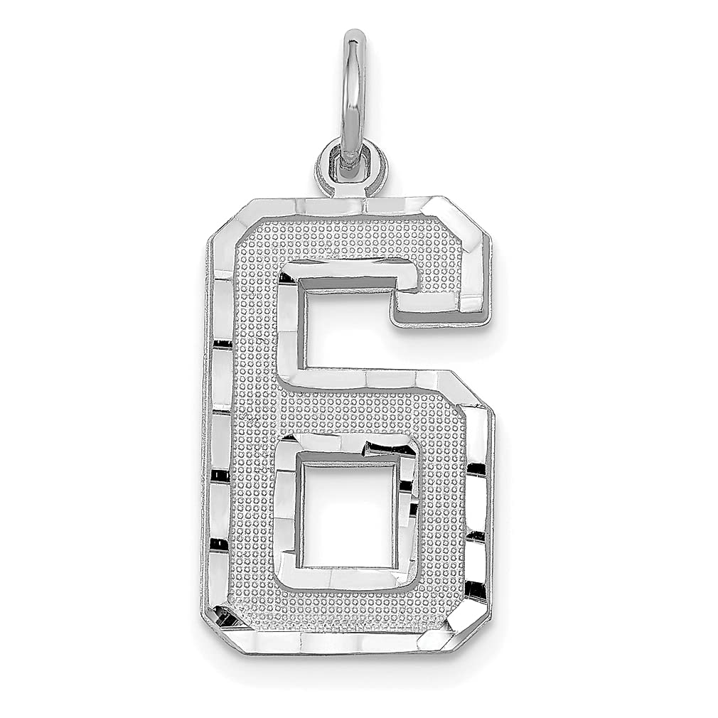 14K White Gold Large Brushed Number 6 Charm Pendant Necklace - Elegant Fine Jewelry for Women, Perfect Birthday Gift for Her - Ideal for Special Occasions, Anniversaries, and Everyday Wear