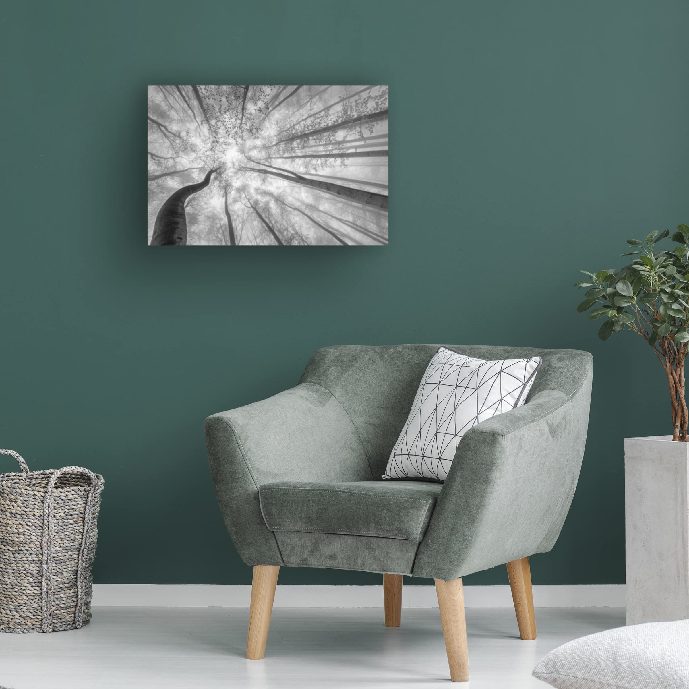 Trademark Fine Art 'Spring Crown Of Trees' Canvas Wall Art by Tom Pavlasek - Nature Landscape Painting for Living Room, Bedroom & Office Decor