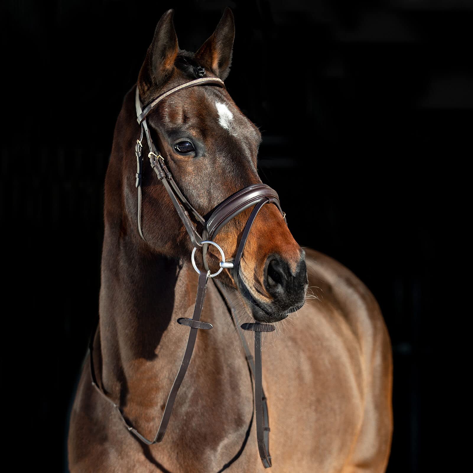 HORZE Lester Dressage Snaffle Bridle with Reins - Brown Cob Size - Premium Equestrian Bridle for Dressage Training & Horse Riding Competitions