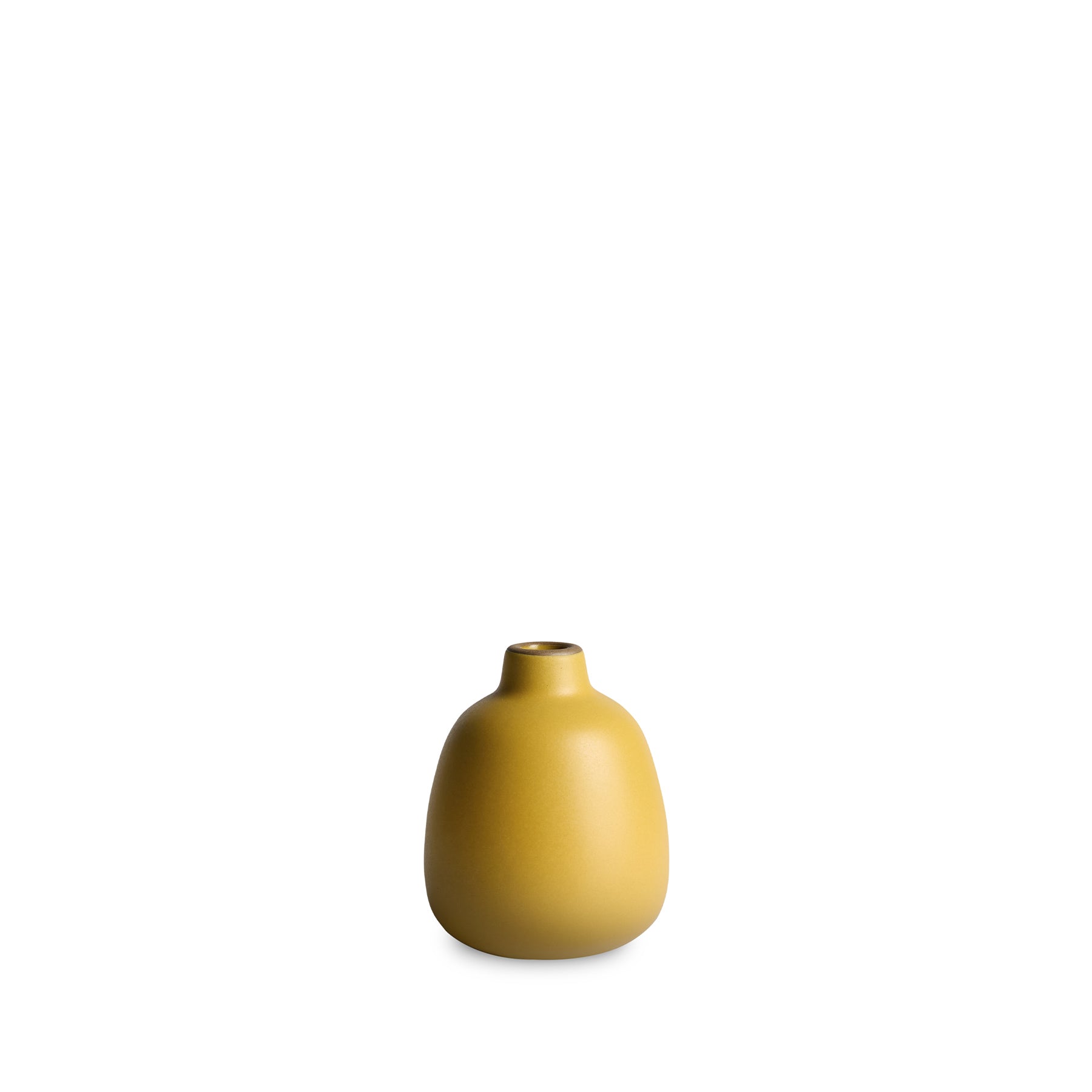 Elegant Glass Bud Vase for Fresh Flowers - Perfect for Weddings, Home Decor & Table Centerpieces