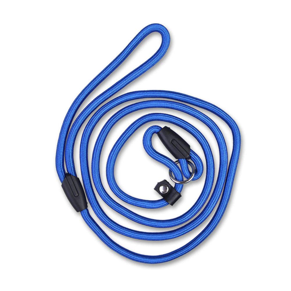 Durable Nylon Adjustable Dog Leash - Blue Pet Training Lead with Comfortable Handle for Small Medium Large Dogs | Perfect for Walking, Running, Hiking & Outdoor Adventures