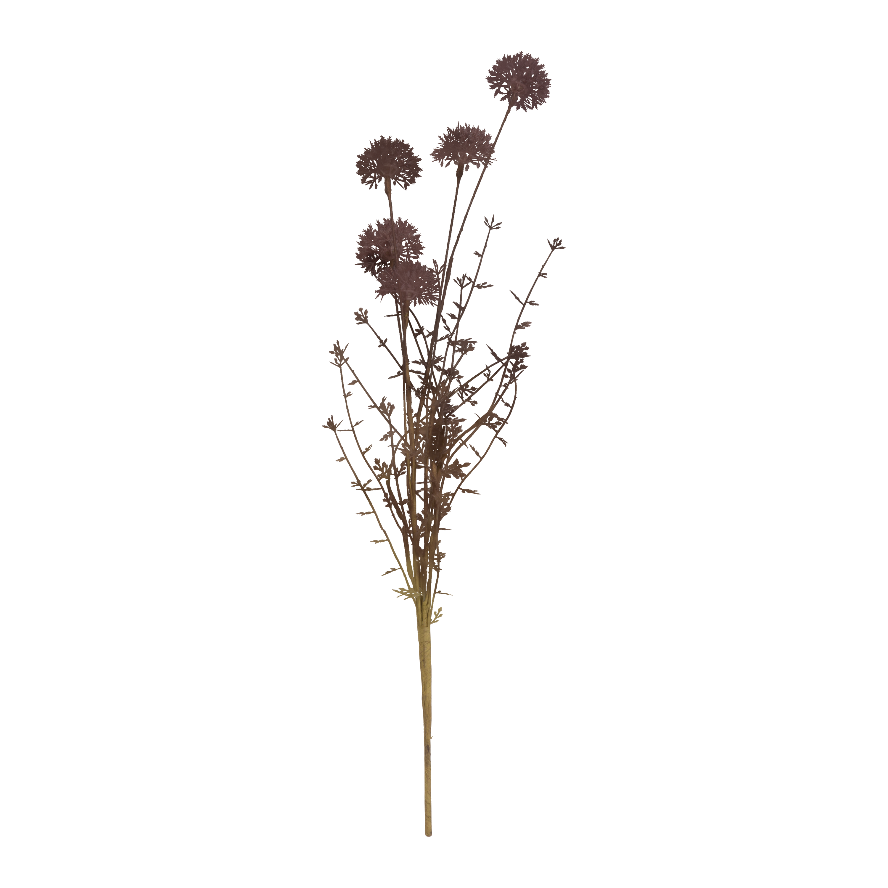 Melaleuca Stem 126982003300 - Natural Tea Tree Wood Sticks for Crafts, DIY Projects & Aromatherapy - Perfect for Home Decor, Gardening, and Essential Oil Diffusers
