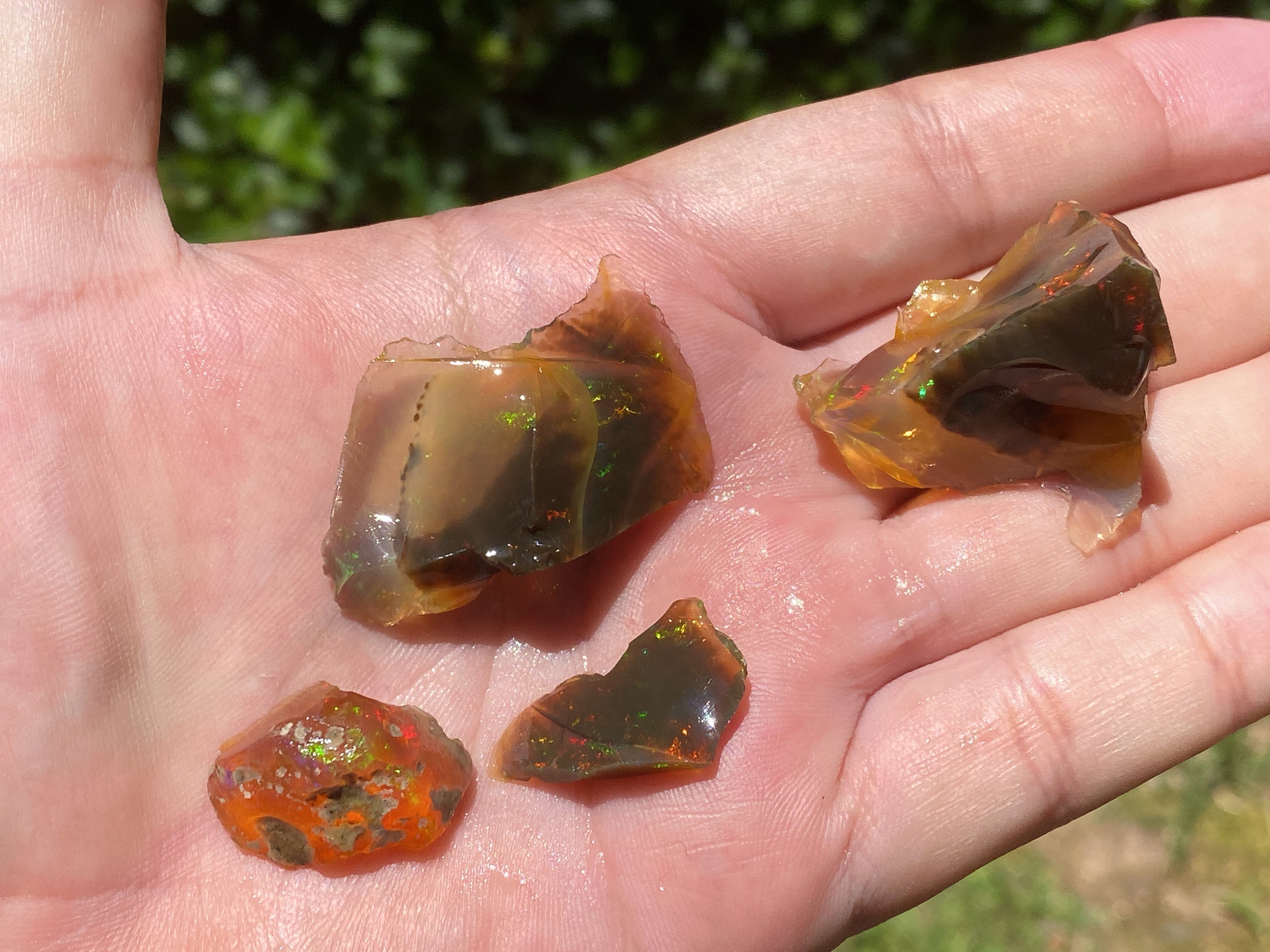 OPAL Raw Crystals - Floating Opals, B Grade Lot - Ethiopian Opal Vial, Water Opal, Welo Opal (47183) | Natural Gemstones for Jewelry Making, Healing Crystals & Mineral Collection