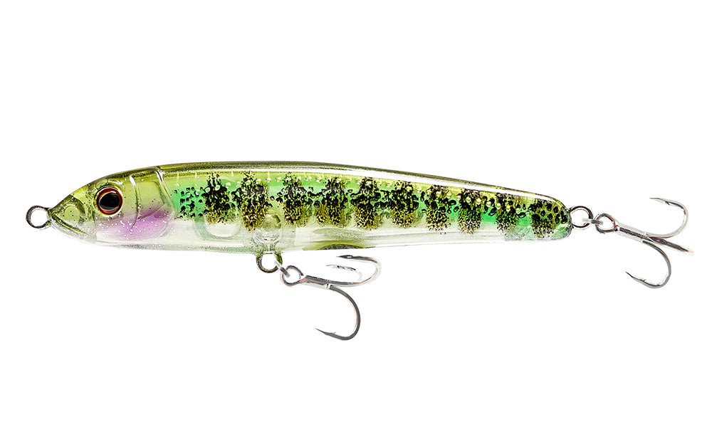 Sardine