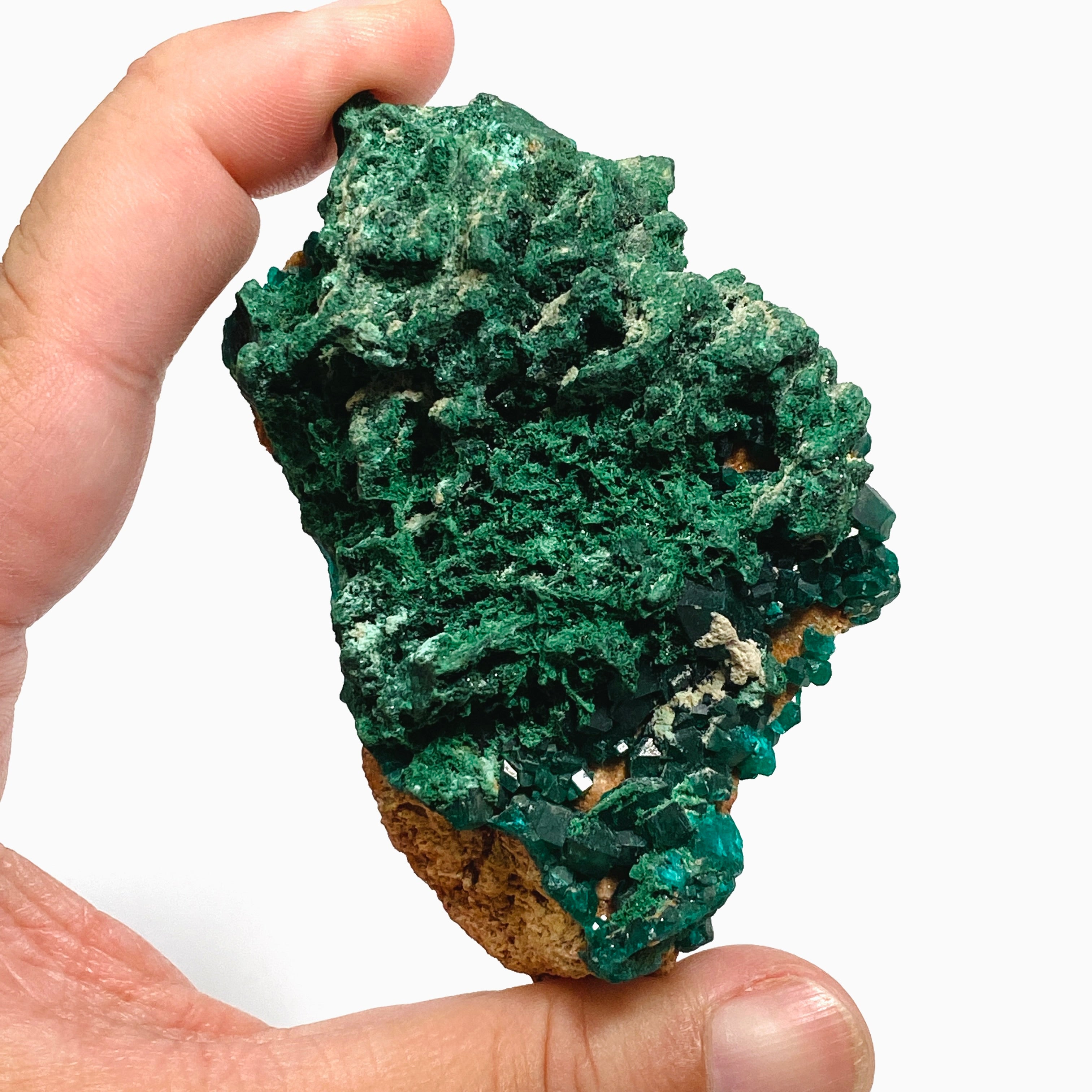 Natural Dioptase and Malachite Crystal Specimen from Congo - CR3745 | Mineral Collection, Healing Crystals, Geology Display, Home Decor