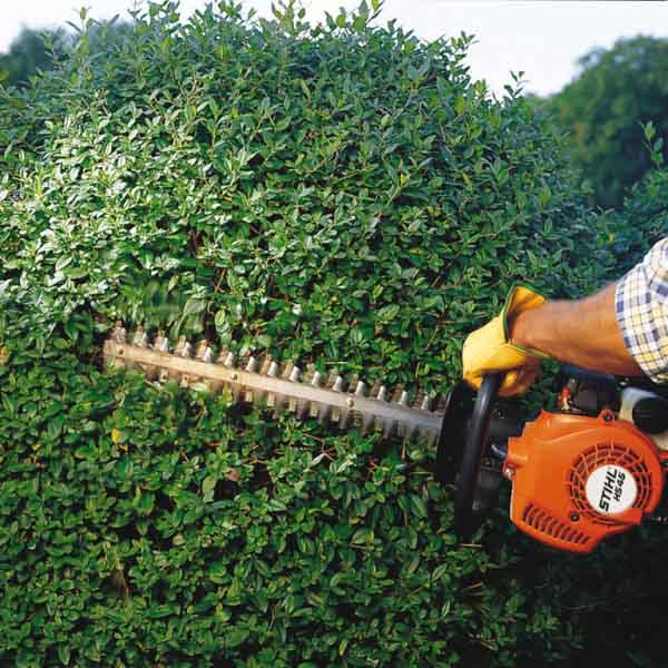 STIHL HS 45 Gas Powered Hedge Trimmer - 21.7cc 2-Stroke Engine, 20