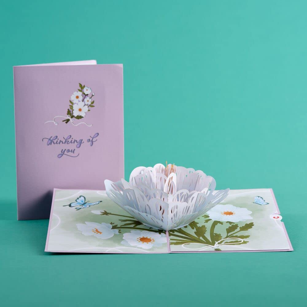 Lovepop Handcrafted 3D Thinking of You Flower Pop-Up Card – Sympathy & Greeting Card (5