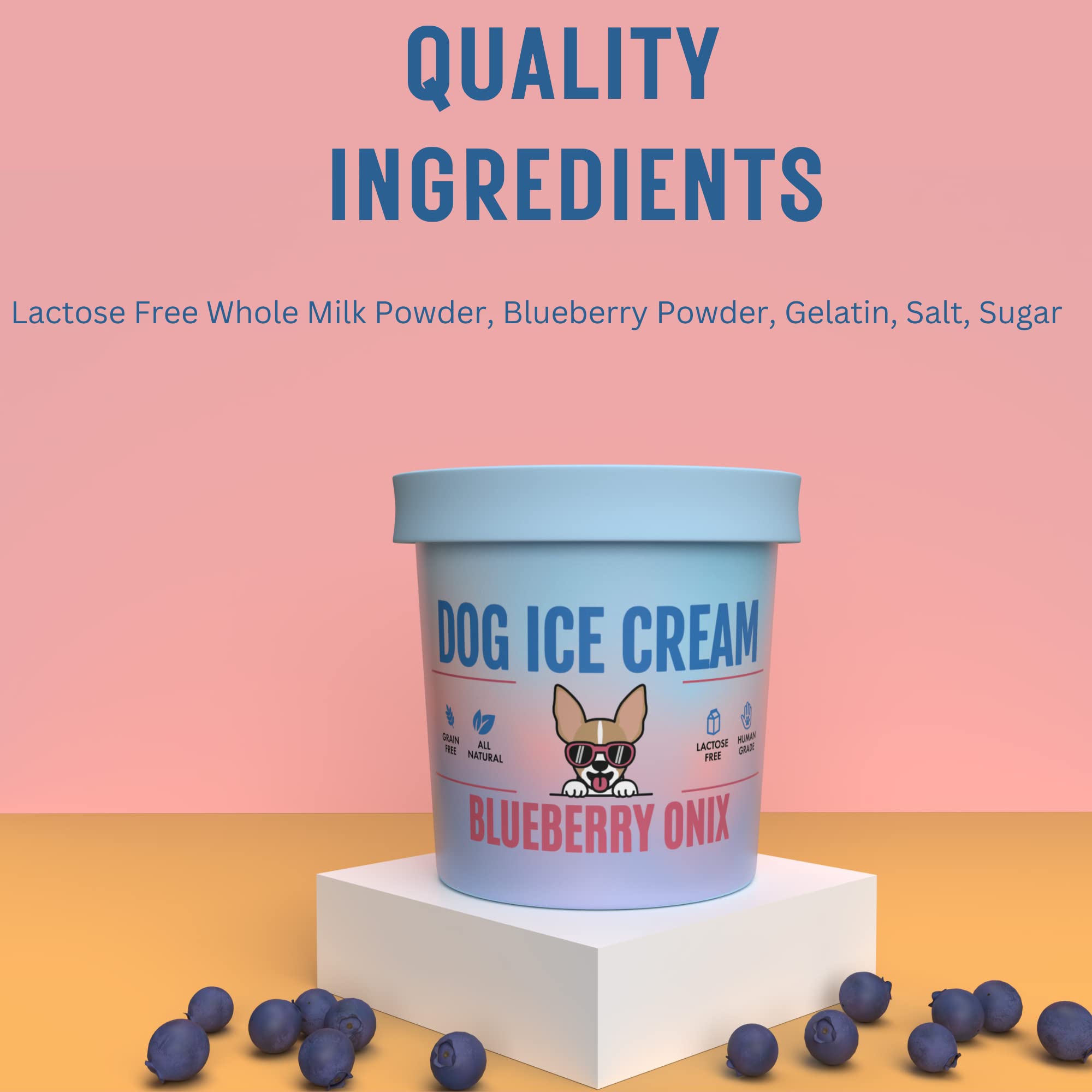 Healthy Dog Ice Cream Mix - Blueberry Flavor, All-Natural Frozen Dog Treats for Summer, Birthdays & Special Occasions - Perfect for Cooling Down Your Pup on Hot Days