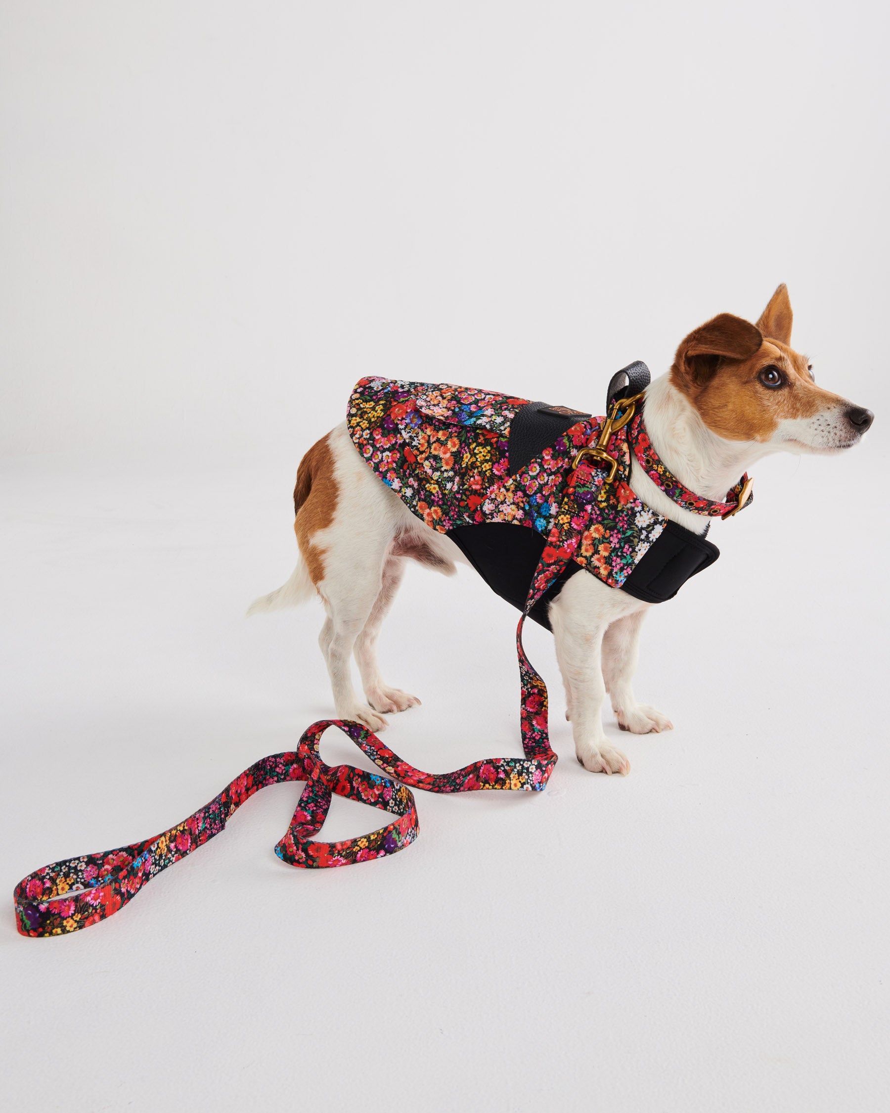 Forever Floral Black Dog Lead - Durable and Stylish Dog Leash for Small to Medium Dogs - Perfect for Walks, Training, and Outdoor Adventures