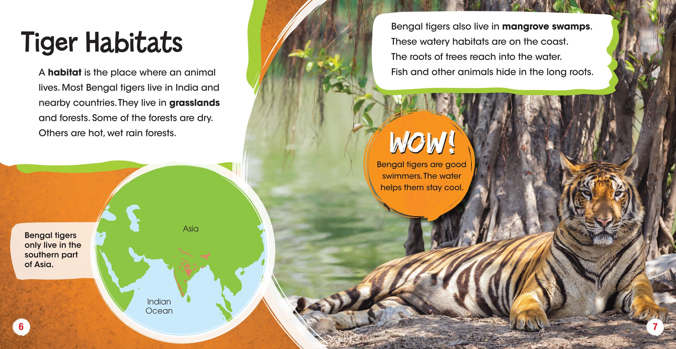 Endangered Bengal Tigers - Facts, Conservation & How to Help | Wildlife Protection & Animal Rescue