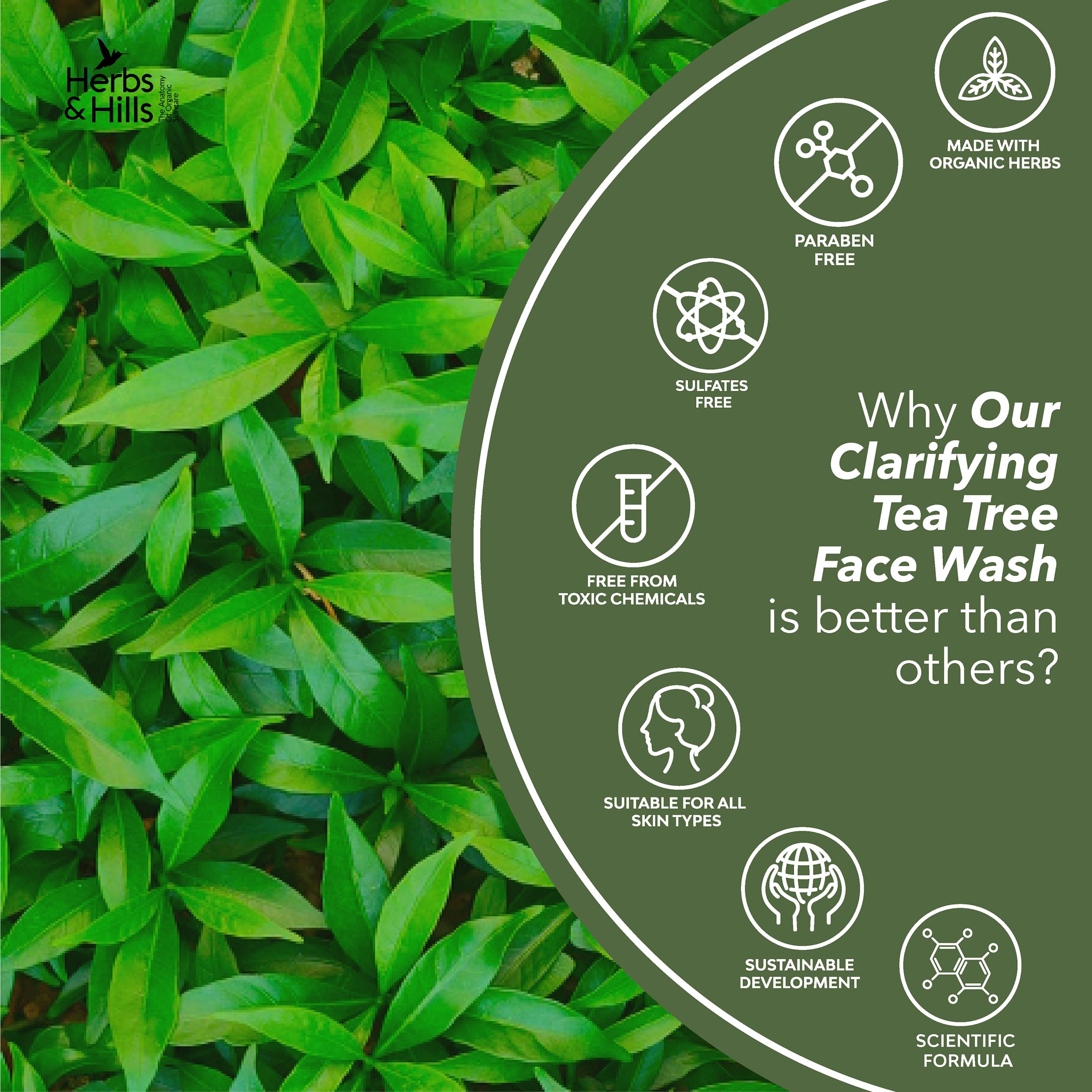 Herbs & Hills Clarifying Tea Tree Face Wash 100ml - Organic & Natural Anti-Acne Cleanser for Oily Skin | Helps Clear Excess Oil, Remove Impurities & Prevent Breakouts | Soothes Skin Irritation | Perfect for Daily Skincare Routine & Acne-Prone Skin Care